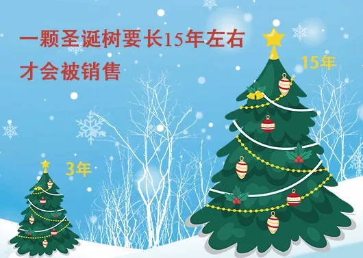 中國最早報道圣誕節的竟是《人民日報》，你不知道的10個圣誕小知識