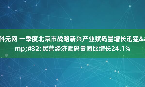 科元网 一季度北京市战略新兴产业赋码量增长迅猛 民营经济赋码量同比增长24.1%