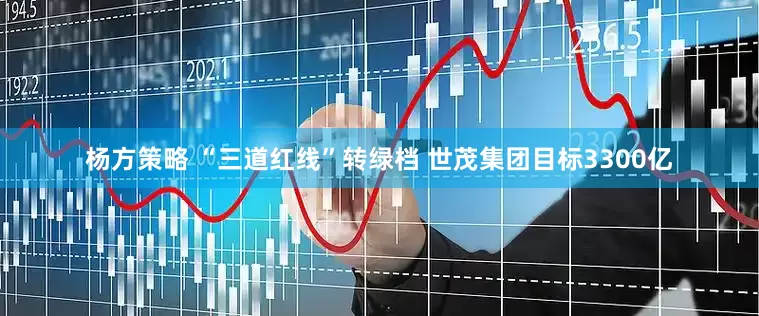 杨方策略 “三道红线”转绿档 世茂集团目标3300亿