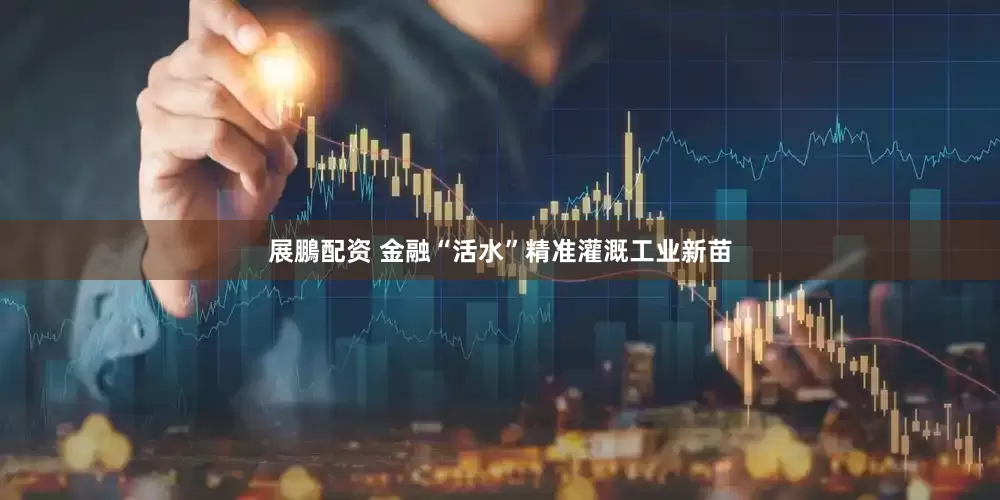 展鵬配资 金融“活水”精准灌溉工业新苗