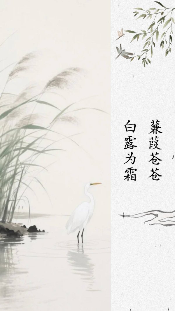 大金牛 海报：白露为笺 秋日成诗