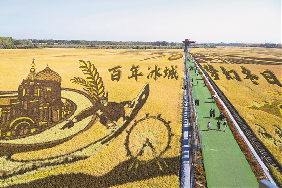 大发配资 “稻花香”里庆丰收，又是一年好光景