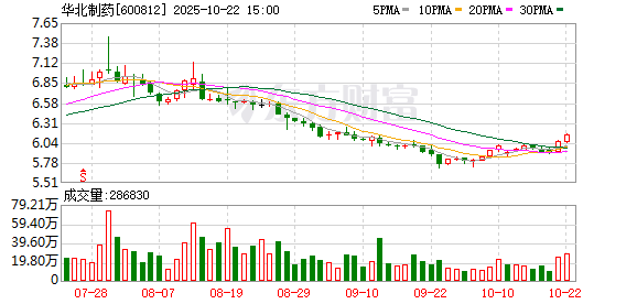 美港通配资 华北制药：2024年年度股东大会决议公告