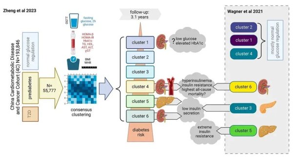 鸿E配资 3个人里就有1个糖尿病前期，可惜太多人没重视