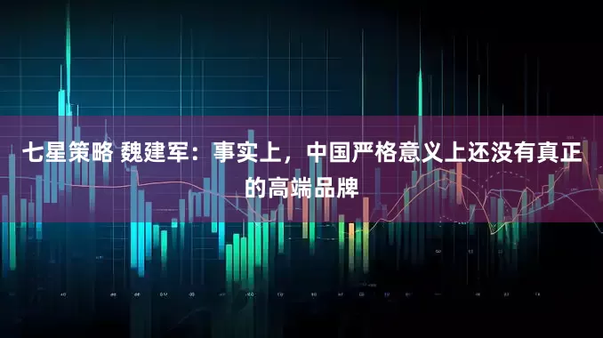 七星策略 魏建军：事实上，中国严格意义上还没有真正的高端品牌
